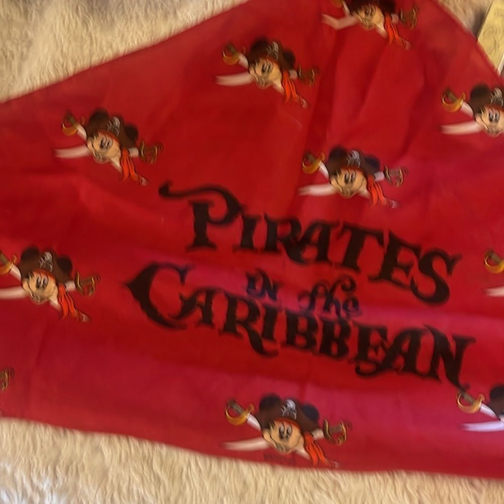 Disney item bundle - Picture 8 of 8